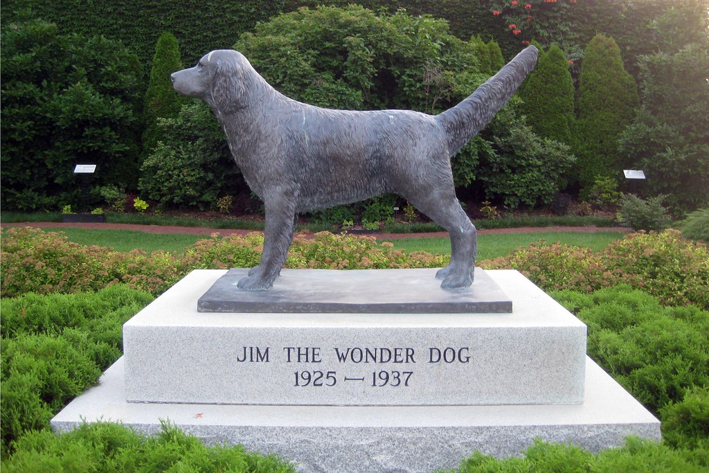 Jim the Wonder Dog! First stop on our trip was an unschedu… Flickr