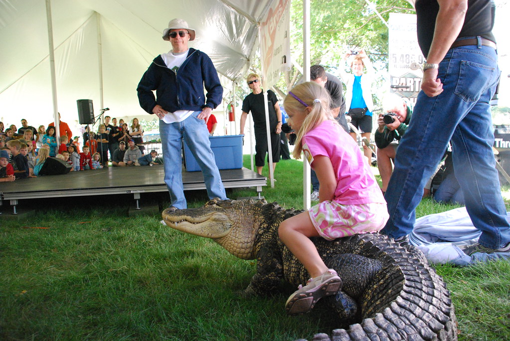 Girl on Alligator at Naperville Last Fling Girl Riding All… Flickr