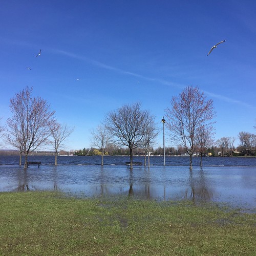 a peek inside the fishbowl » Blog Archive Finding lost things a peek inside the fishbowl