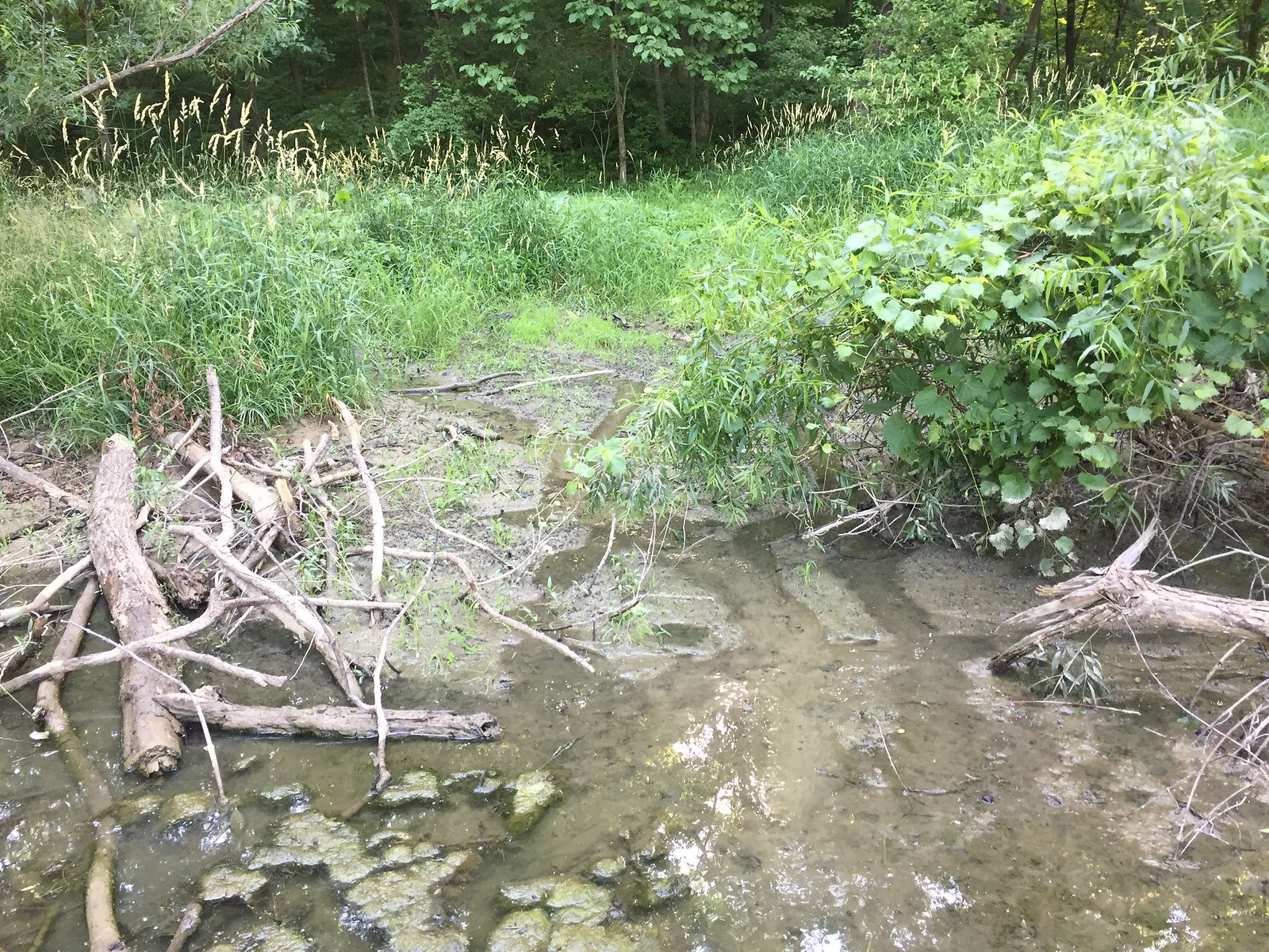 Feeder Creek Sediment Control Pond Boss Forum