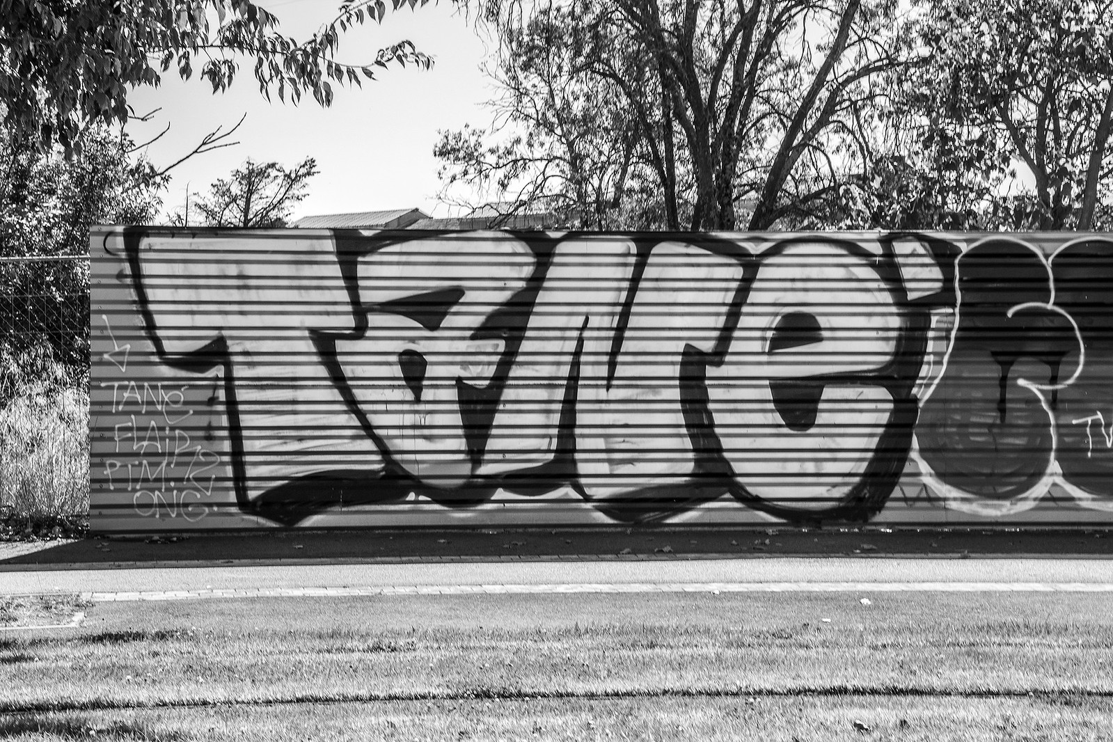 Illegal Painting, Toulouse Street Art et Graffiti