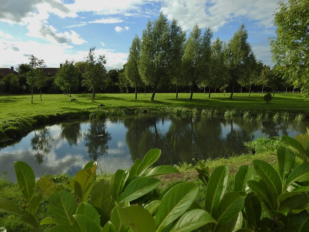 The Gardens of Peace in Hainault, London, UK August 2017… Flickr