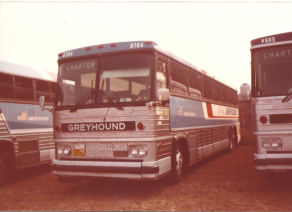 Greyhound Bus Austin Tx Austin Show