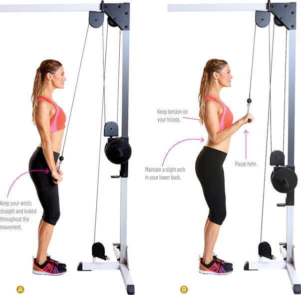 Triceps Rope Pushdown EXERCISE INSTRUCTIONS FOR MASTERING … Flickr