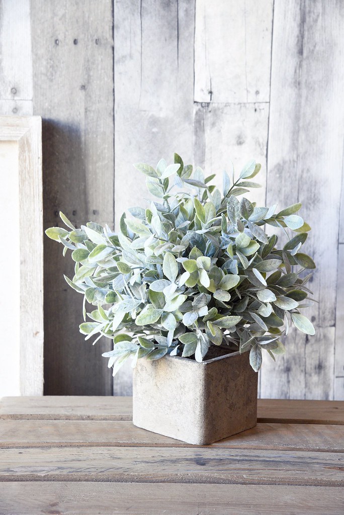 46+ Most Popular Modern Farmhouse Plants