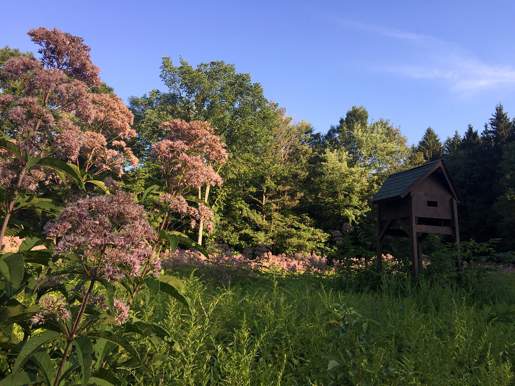 Raccoon Creek State Park, Hookstown, Pennsylvania Patrick Burke Flickr