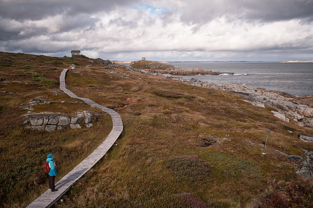 Greenspond, NL Boardwalk at Greenspond, Newfoundland Timothy Neesam