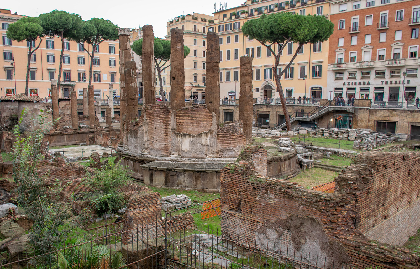 See wild cats roam among the ruins at a cat sanctuary in Rome Travel