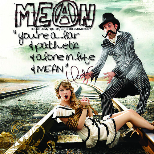 Taylor Swift Mean CD Cover Taylor Timberlake Flickr