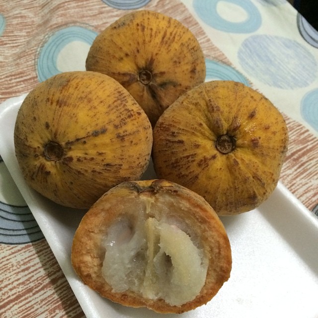 👍 Scientific name of santol. What Is the Scientific Name