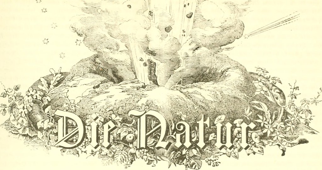 Anemophile The Letter Of