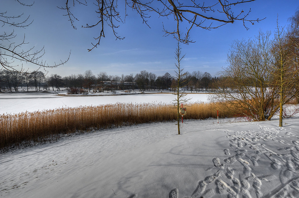 Britzer Garten Winter minimalistisches Interieur