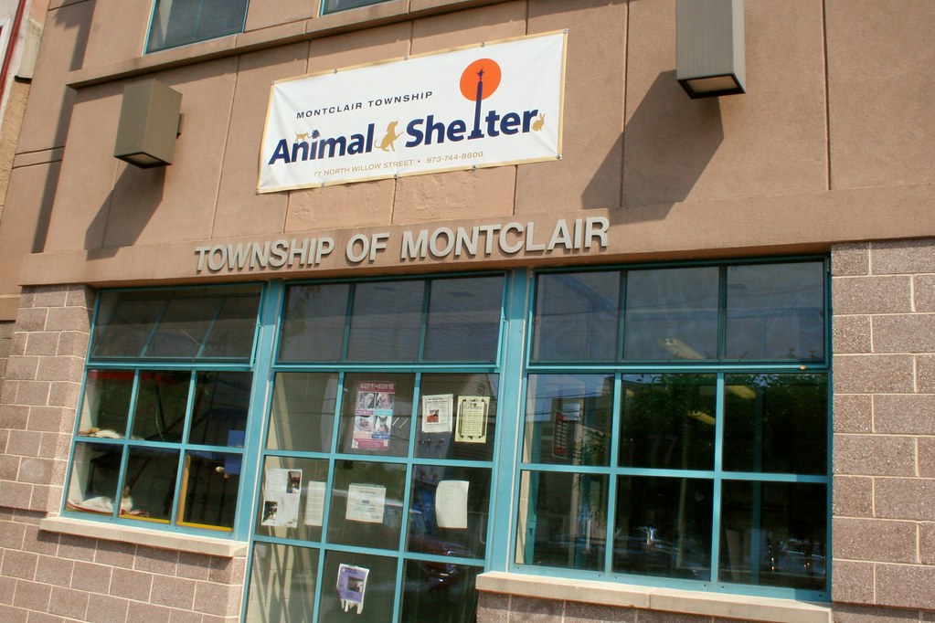 The Montclair Animal Shelter, Montclair NJ The Montclair A… Flickr
