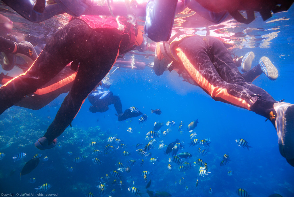 綠島浮潛 Snorkeling at Green Island, Taiwan 地點：石朗潛水區 Locatio… Flickr