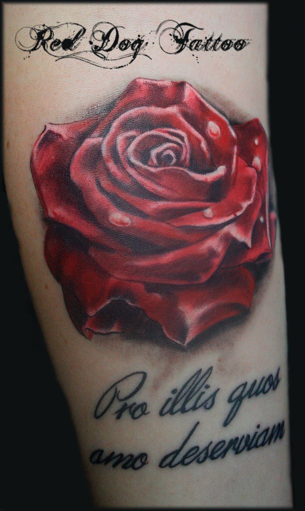 Hannas Rose Tattoo done at Red Dog Tattoo, Benalmadena