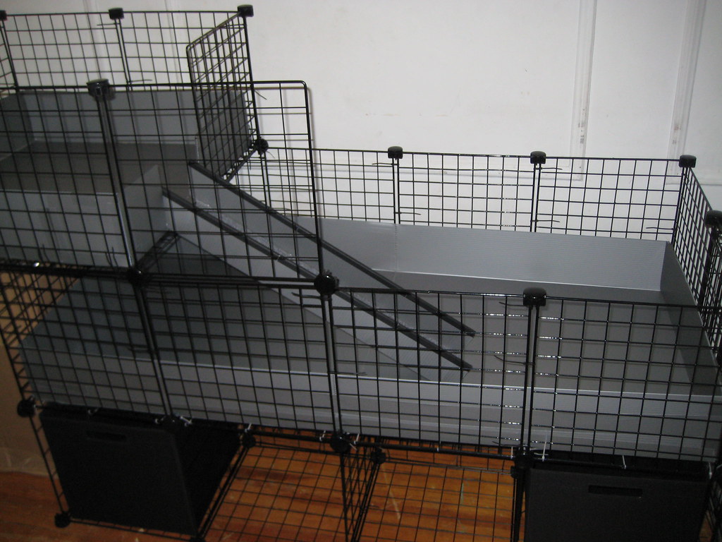 C & C Cage Brand spanken new Cube & Coroplast Guinea pig c… Flickr