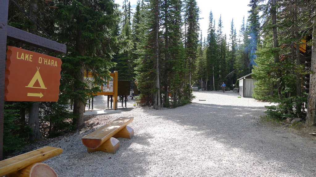 lake o'hara campground siacob Flickr