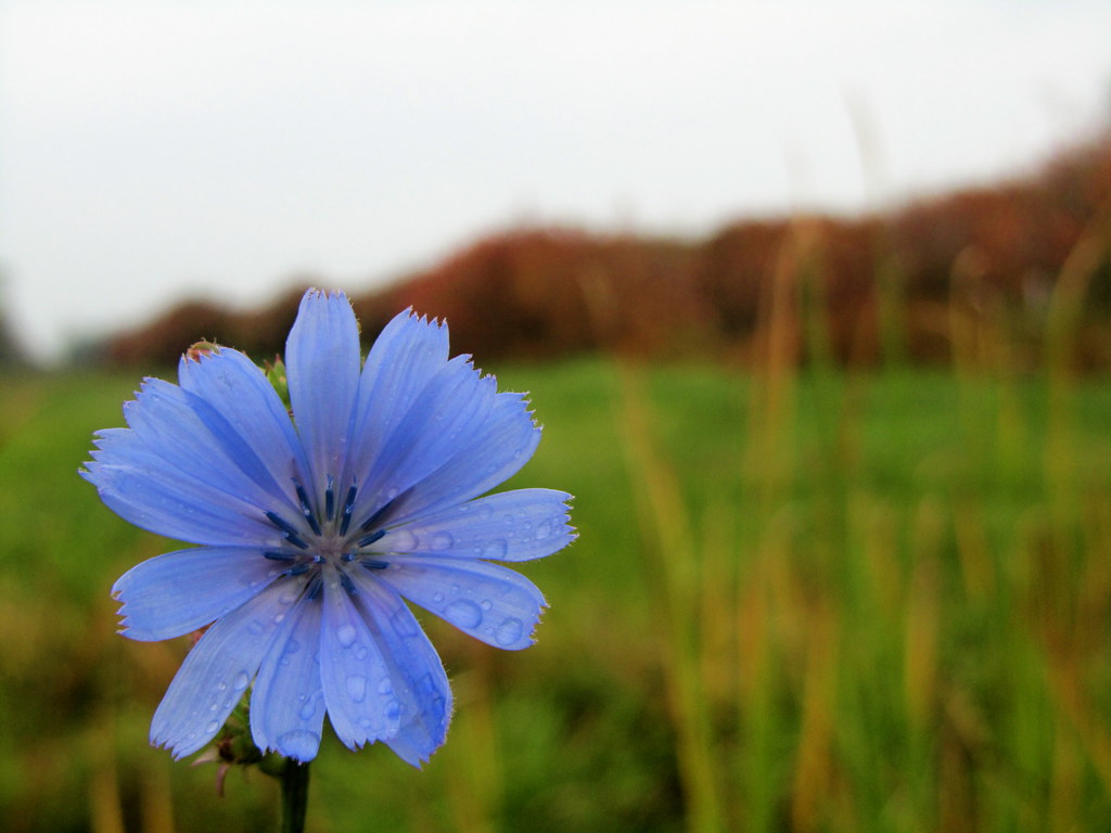Explore Colors crayola.com.au