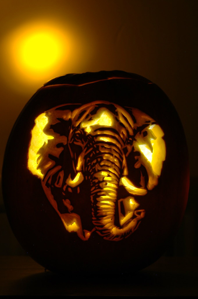 Elephant (Yellow) A pumpkin carving of an elephant. Carved… Flickr