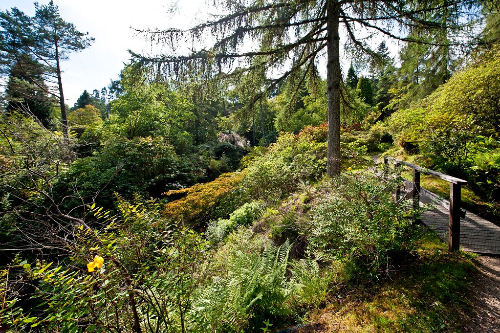 Crarae Garden, Inveraray, Argyll, Scotland In Cox'… Flickr