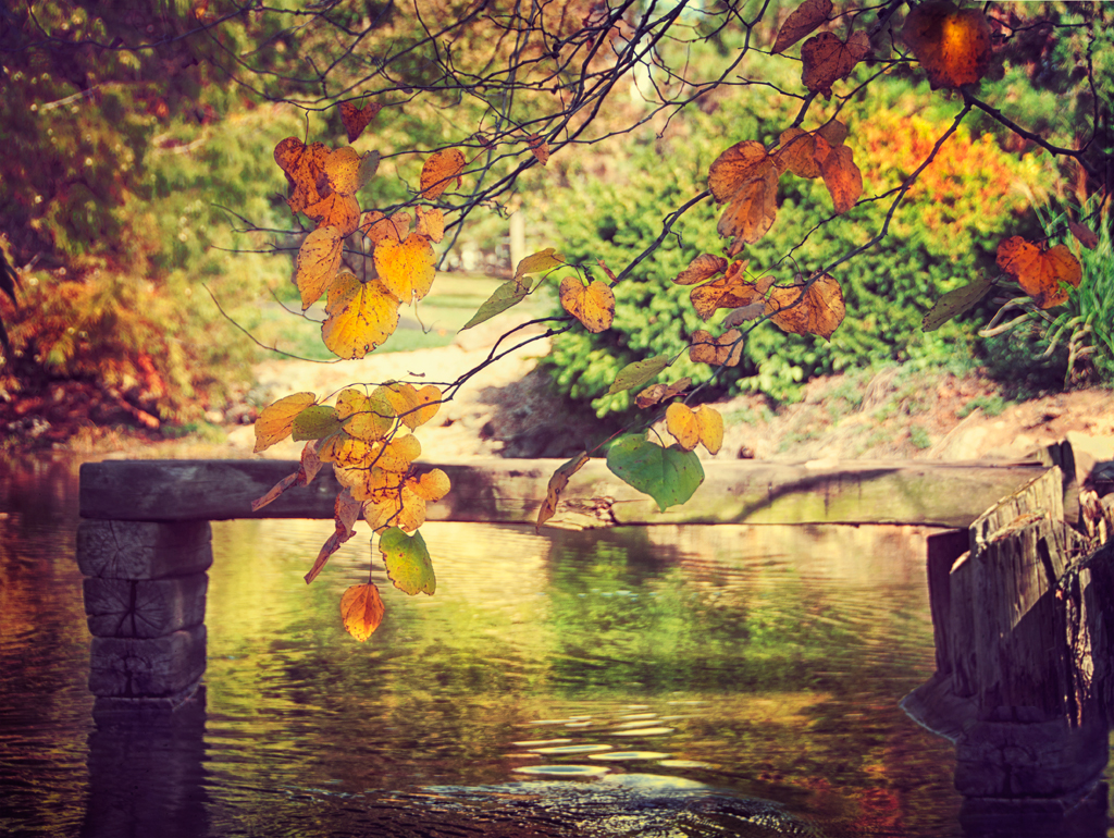 Autumn Zen While down in Springfield, Missouri visiting La… Flickr