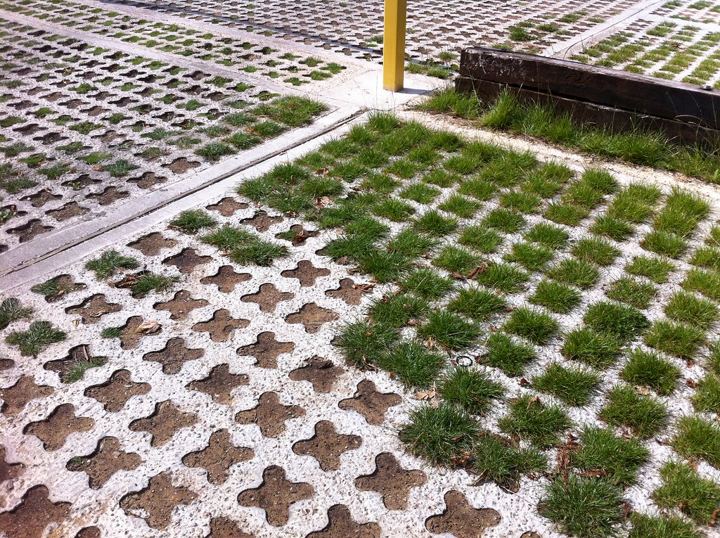 Brilliant car park floor The grass grows thicker where the… Flickr
