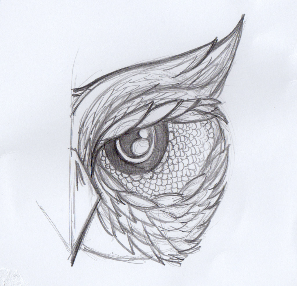 Evil Owl Now with added evil half a head [rich] Flickr