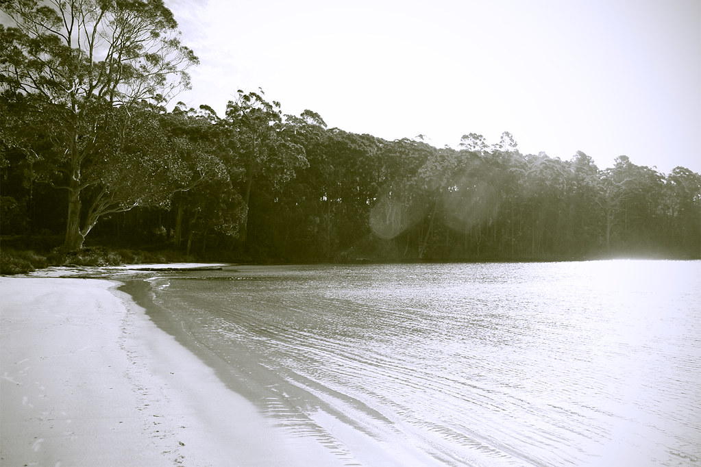 White Beach Some white beach in Tasman Peninsula, Tasmania… Flickr