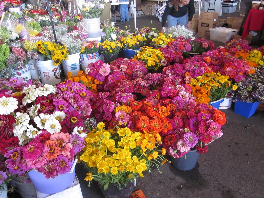 Flowers at Sacramento Farmers' Market Brenda Flickr