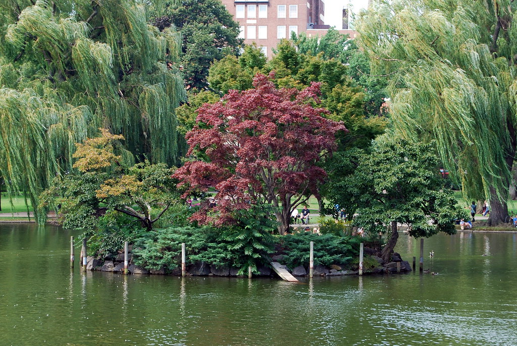 Boston Botanical Gardens Rich Cumbers Flickr