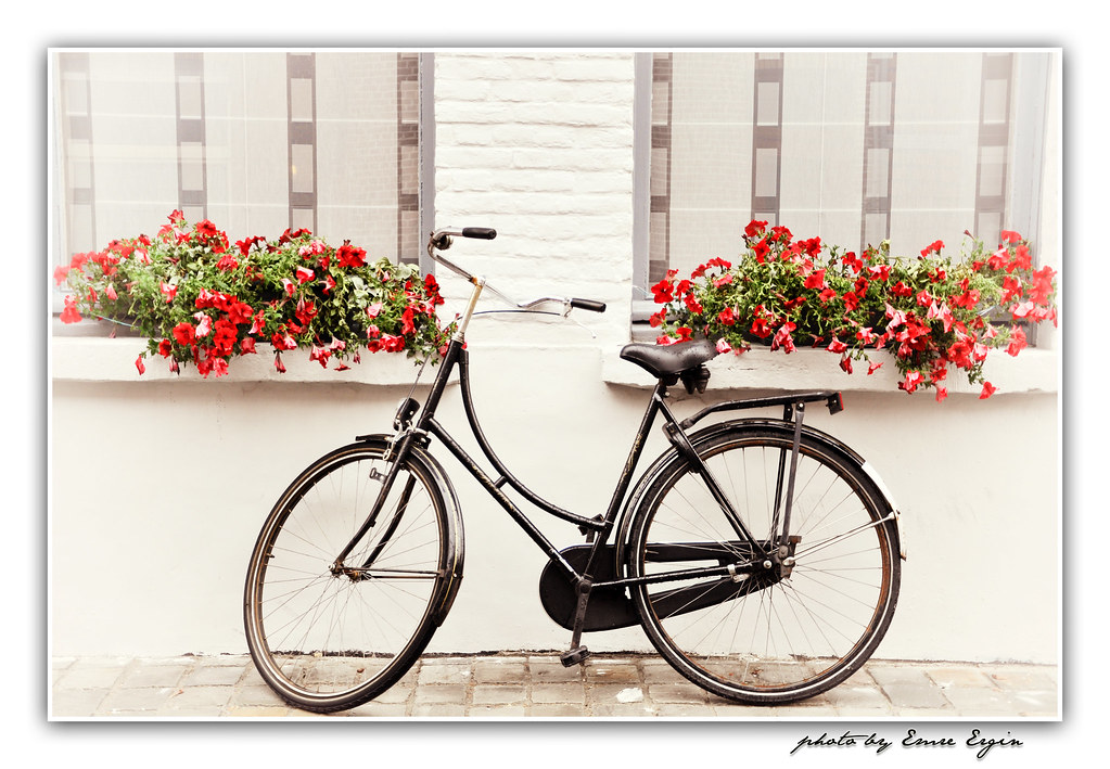 Vintage Bicycle I sometimes think vintage bicycles were bu… Flickr