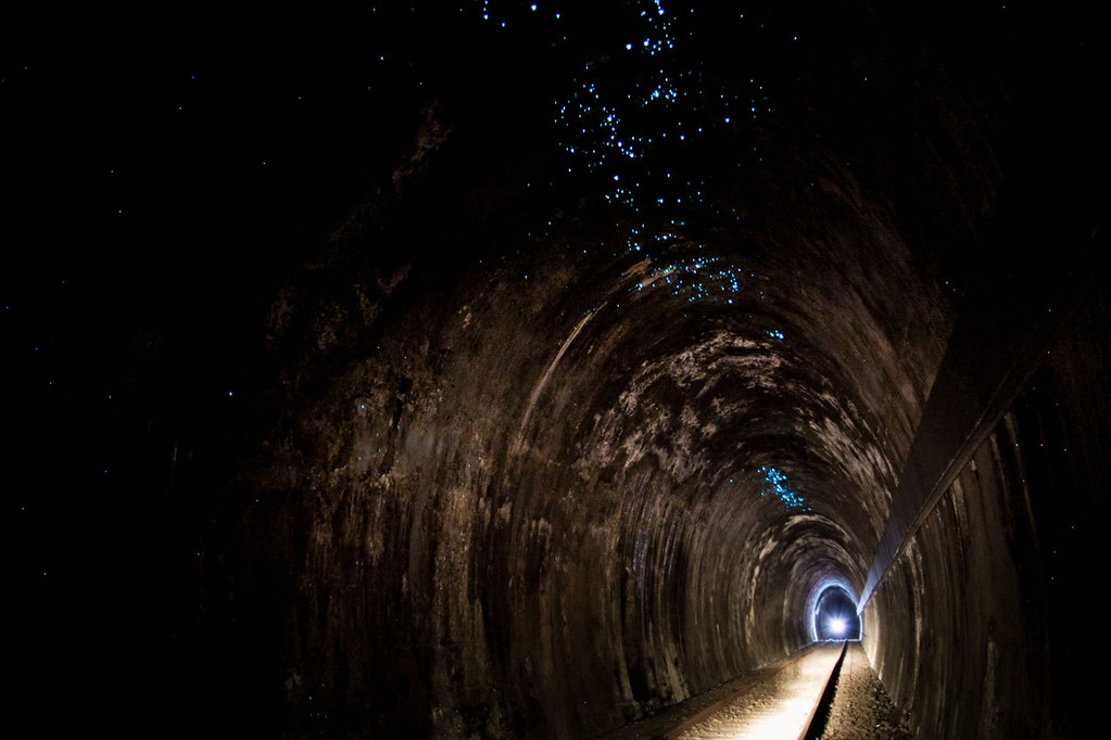 Glow Worm Tunnel Inside a disused rail tunnel near Murwill… Michael