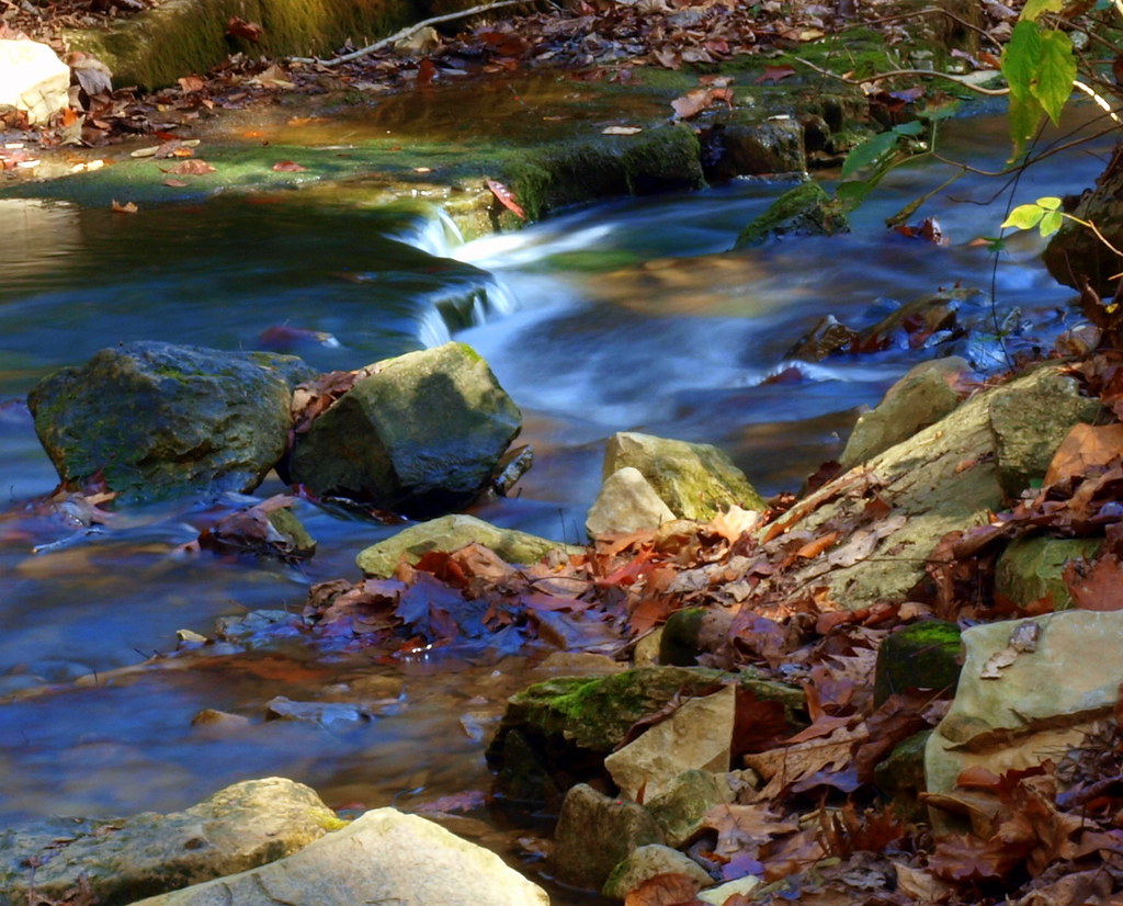 Saunders Springs Radcliff, Kentucky Phyllis Bentley Flickr