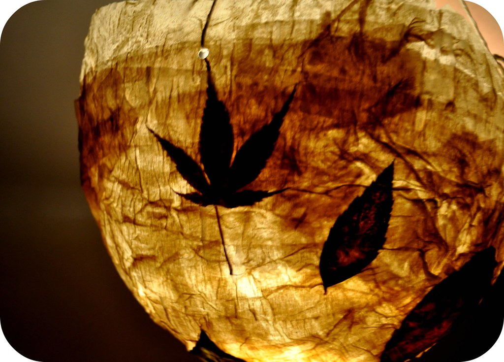 Martinmas Lantern We used paper mache, leaves and ballons … Flickr