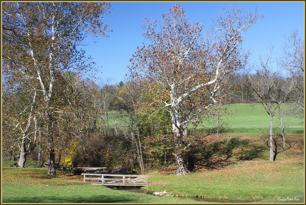 Mingo Creek County Park Mingo Creek County Park Washington… Flickr