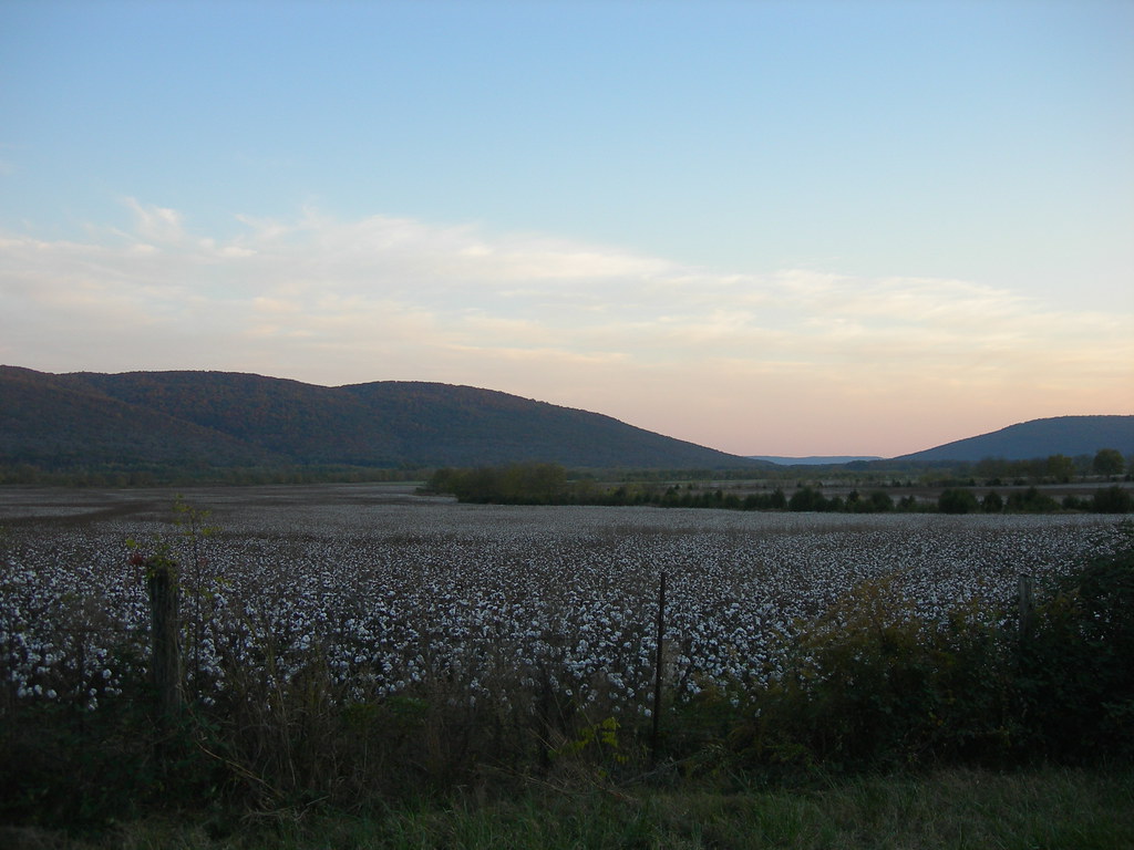 Paint Rock Valley Cotton Fields Taken from AL Hwy 65 in th… Flickr