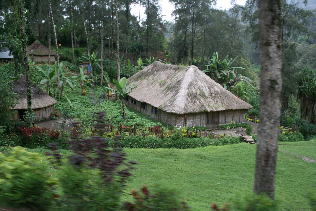 Traditional House Highlands, Papua New Guinea Philipp Hamedl Flickr
