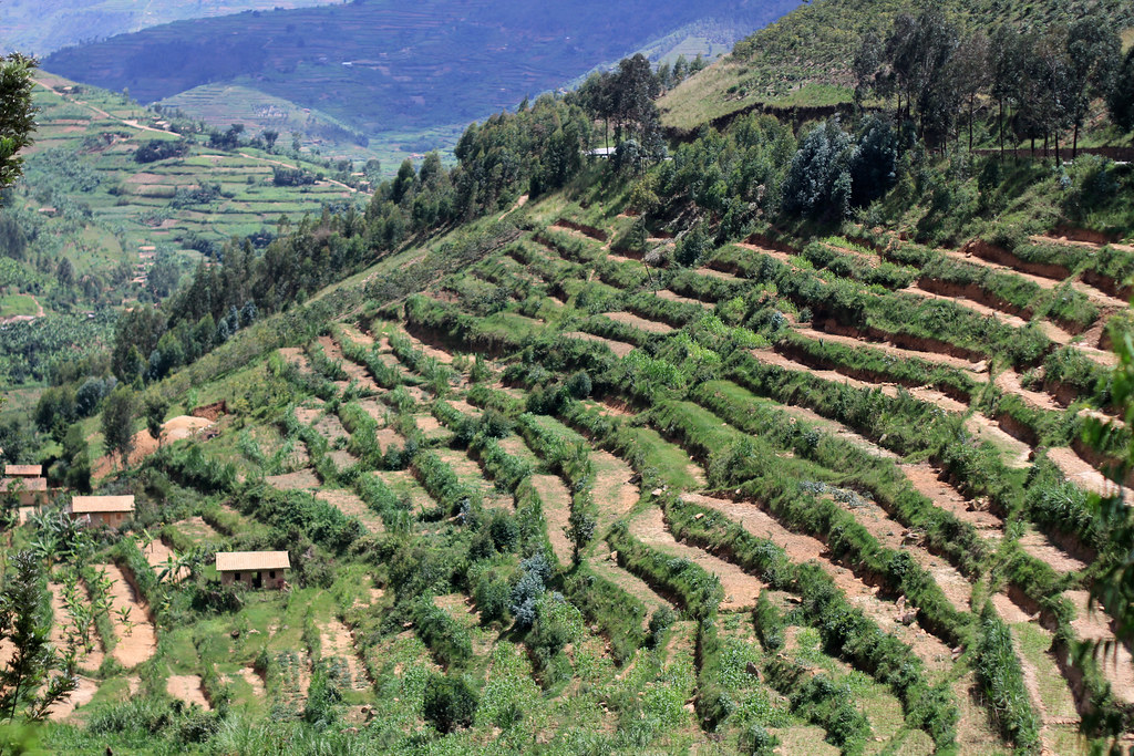 Terraced Hillside I highly reading this National… Flickr