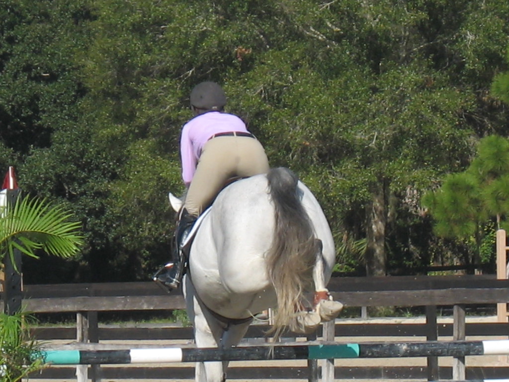 Fox Lea Farm Horse Show, Venice, Florida 11.6.2011 Flickr
