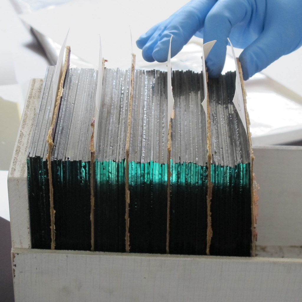 Glass plate negatives waiting to be cleaned File reference… Flickr