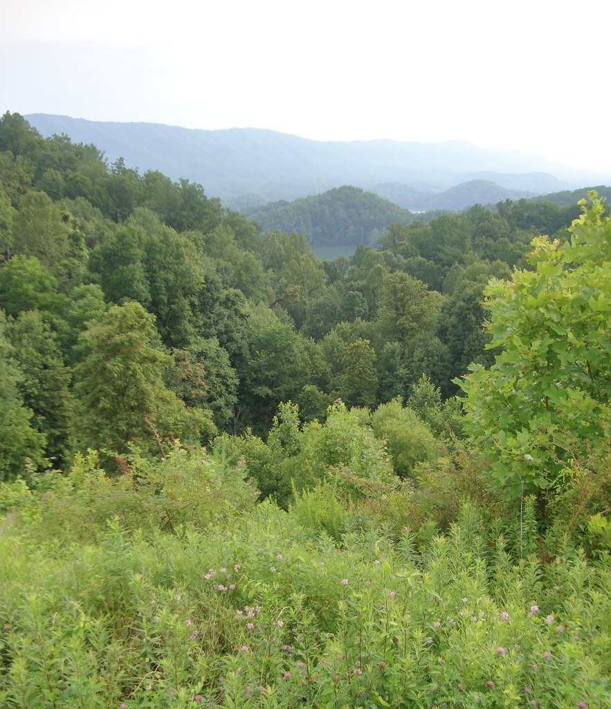 East Tennessee Landscape (Carter County, Tennessee) Flickr
