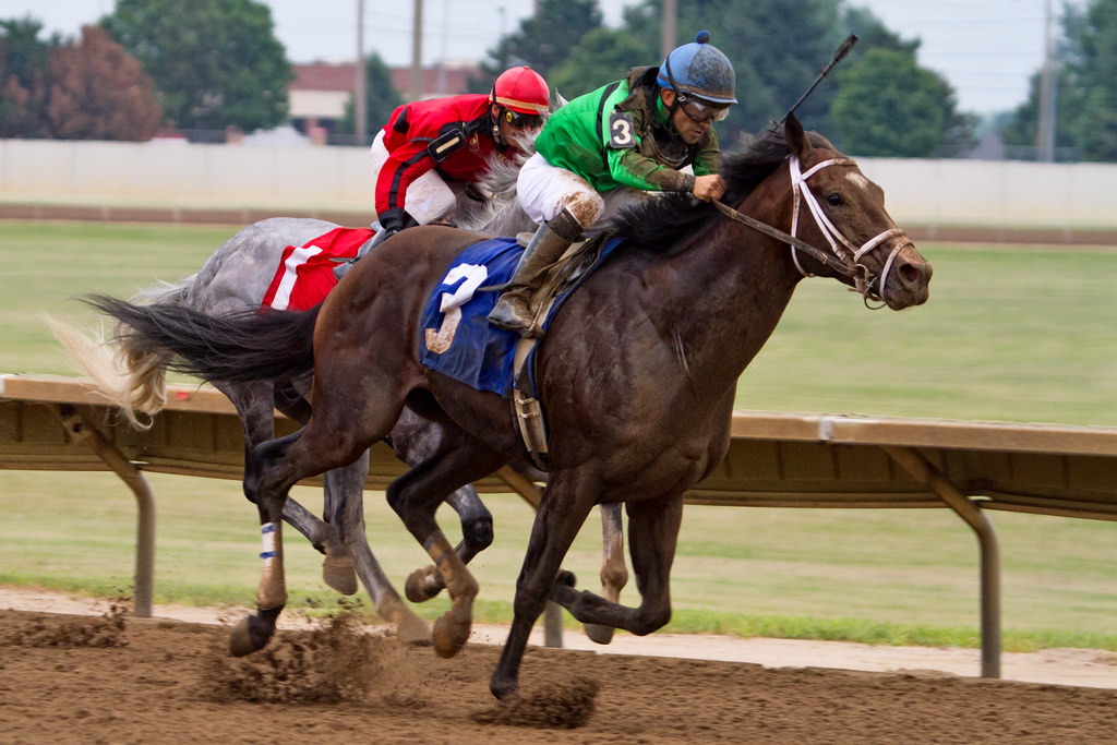 Thoroughbred Racing at Prairie Meadows This was from race … Flickr