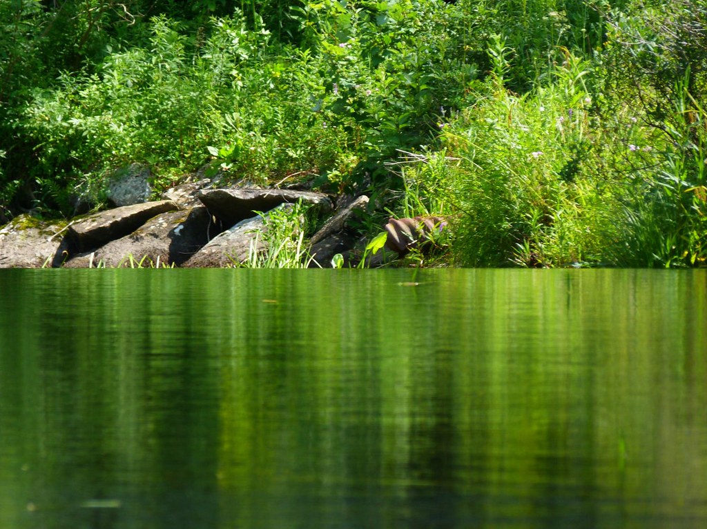 Big Pond Otis MA Rusty Clark 100K Photos Flickr