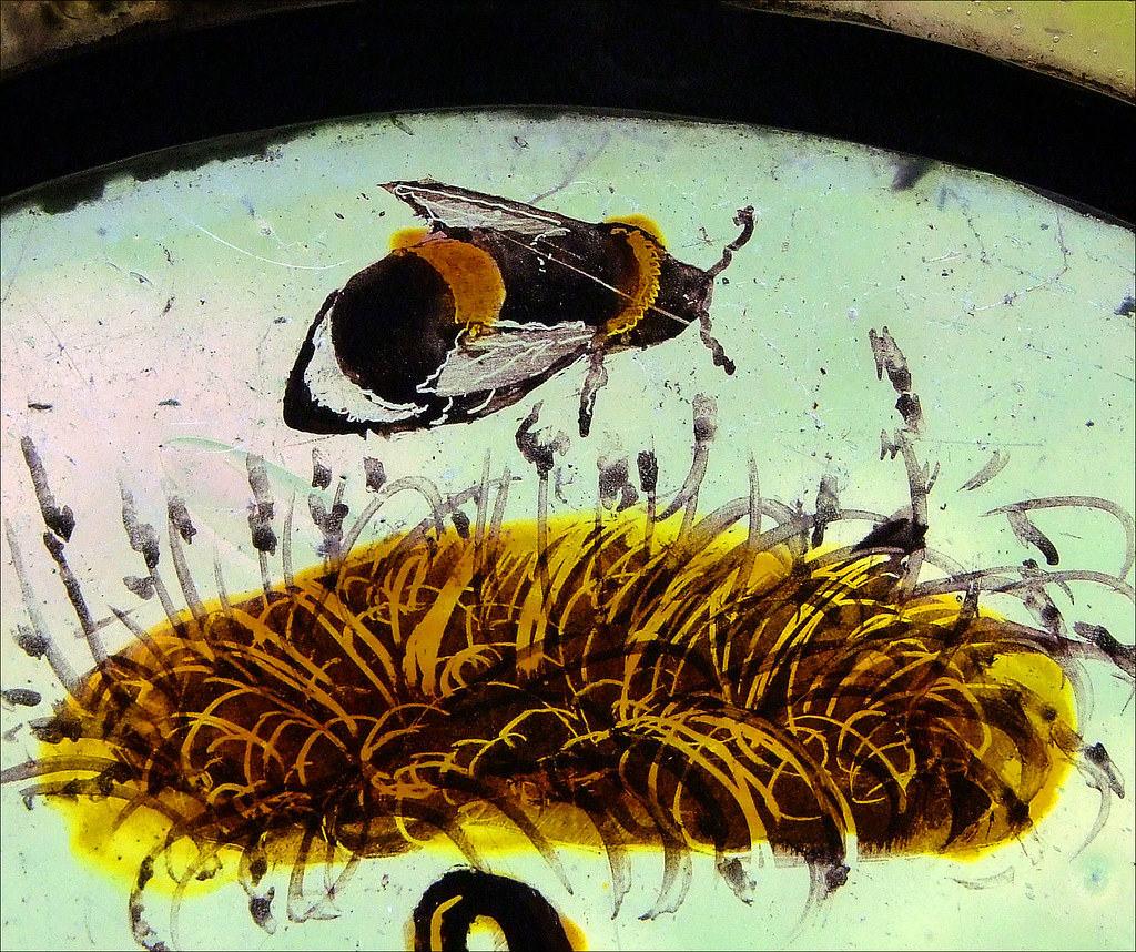 busy bee St Mary, Kentford, Suffolk I’m not a great