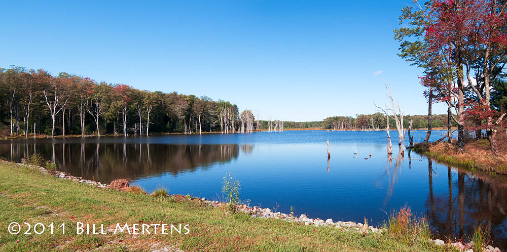 Beaver Run Shallow Water Impoundment This is the Beaver Ru… Flickr