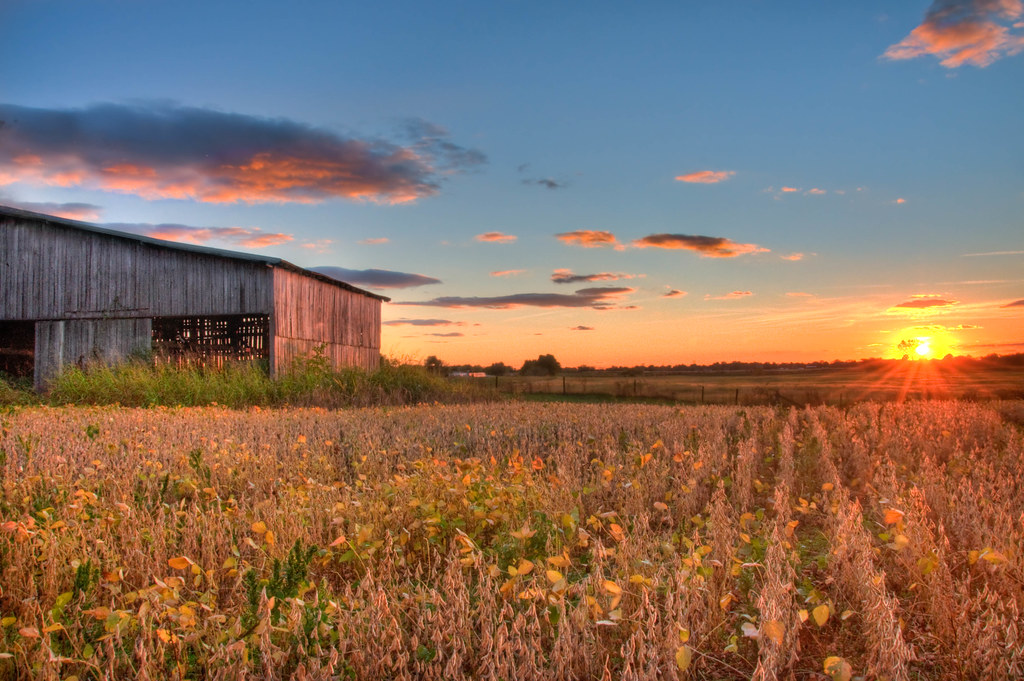 A Kentucky Sunset This is how you know you have the best, … Flickr