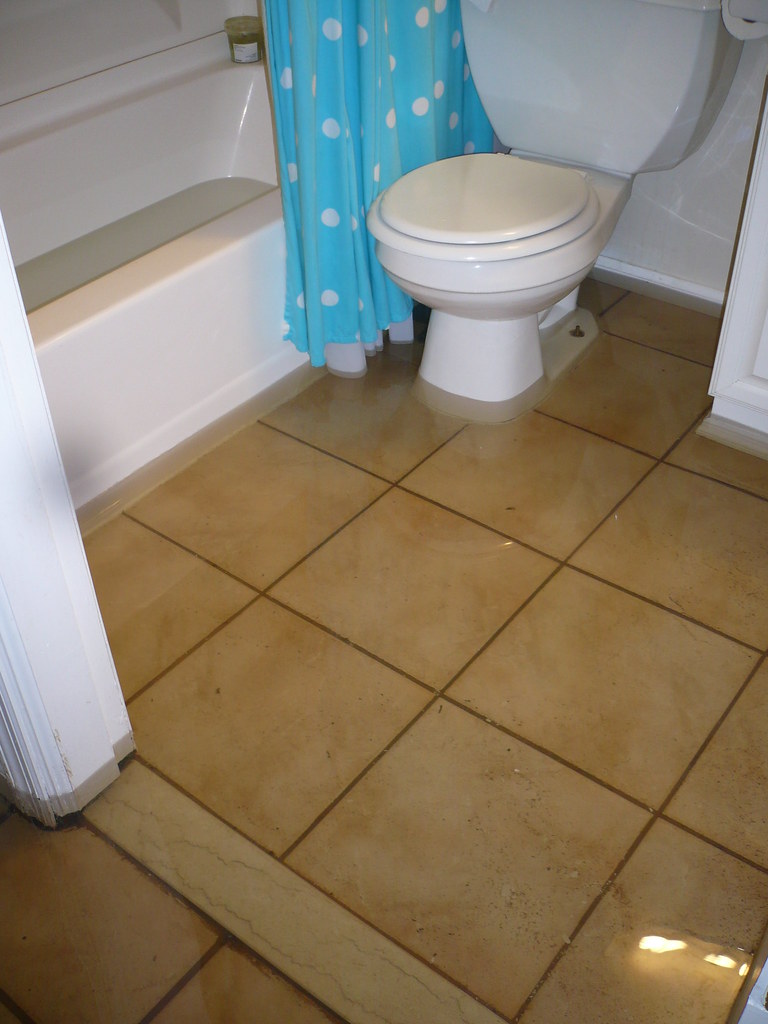 flooded bathroom Hurricane Irene 8/28/11 kellylynnstl Flickr