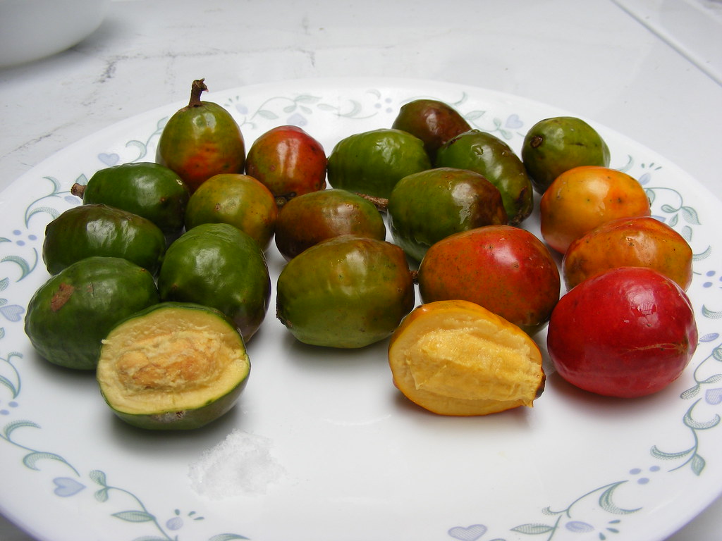 Jocote Verde y Maduro aeparras Flickr