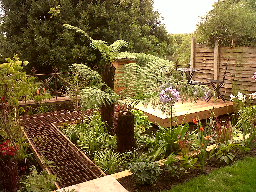 Tree Fern Garden Design jajlindulu