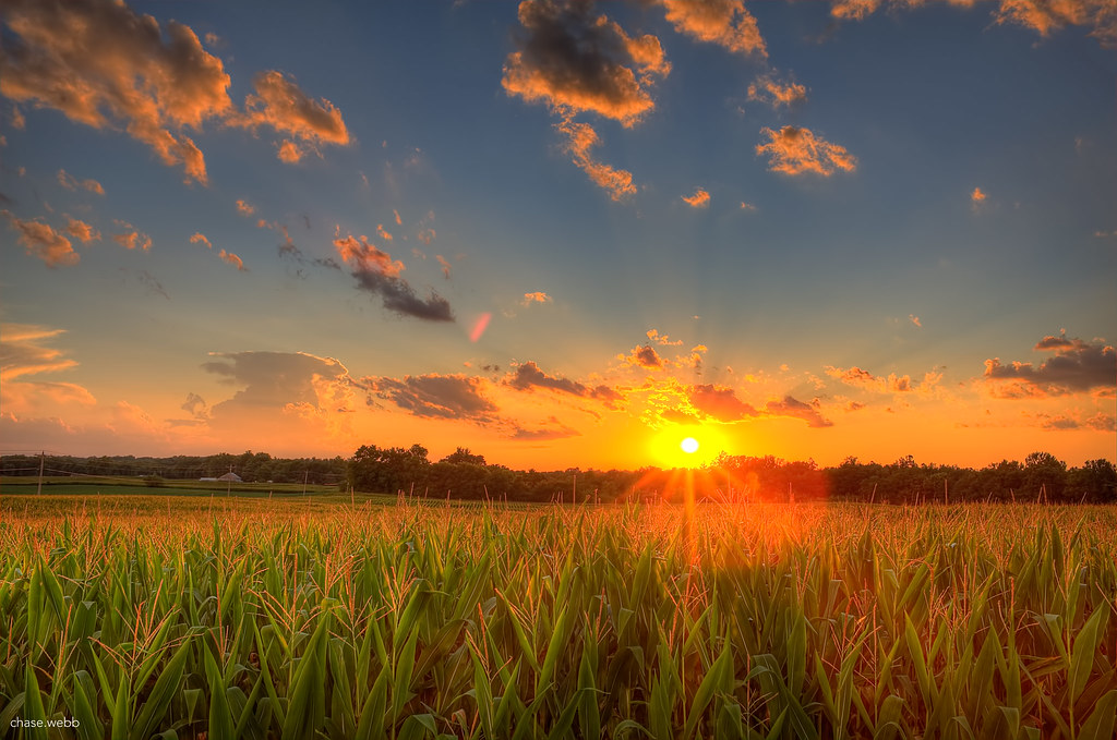 Indiana Sunset A view over my field at my home in Indiana.… Flickr